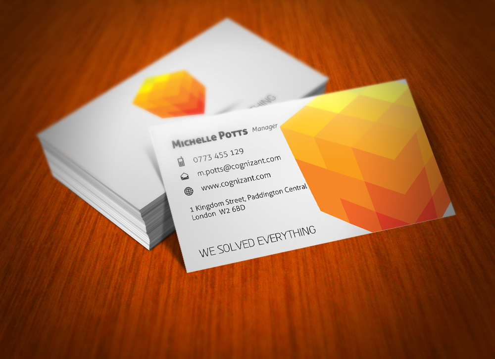 Business Card 2013